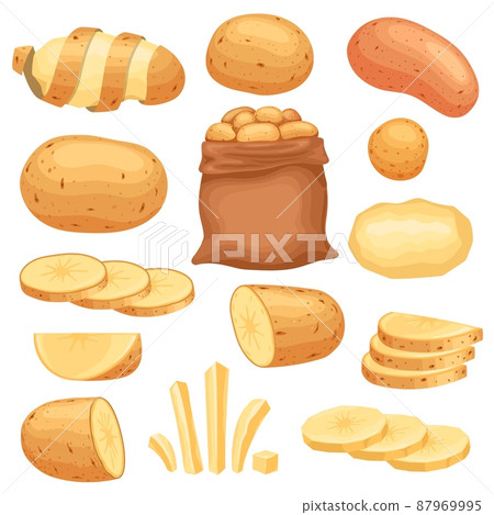 Cartoon peeled raw potato, sliced and french fries. Potatoes in bag, chopped, chips and slices. Farm fresh vegetable, potato cuts vector set Cartoon peeled raw potato, sliced and french fries. Potatoes in bag, chopped, chips and slices. Farm fresh vegetable, potato cuts vector set 87969995