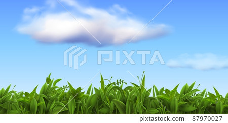 Realistic nature landscape with fresh grass and blue sky with clouds. Spring green farm or football field, meadow or lawn grass vector scene 87970027