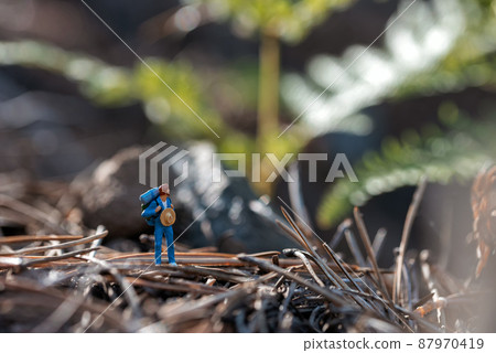 Miniature hiker with backpack exploring forest Miniature hiker with backpack exploring forest 87970419