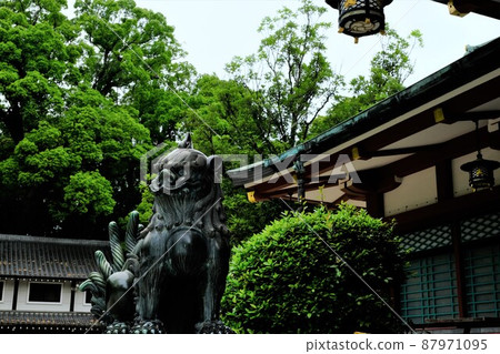 西宮神社 87971095