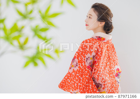 Meisen Nagahaori antique kimono 87971166