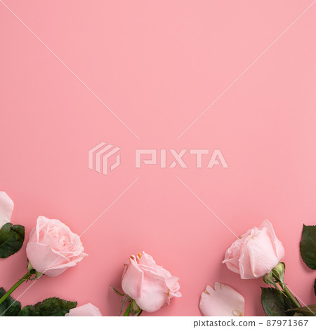 情人節 花束 玫瑰 玫瑰花 背景 Valentine's Day rose バレンタイン 87971367