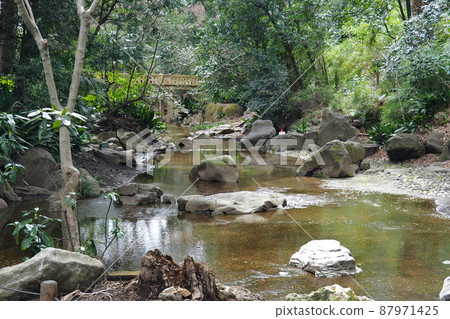 Nanushinotaki公園的花園，溪流和綠樹環繞的木橋[東京都北區] 87971425