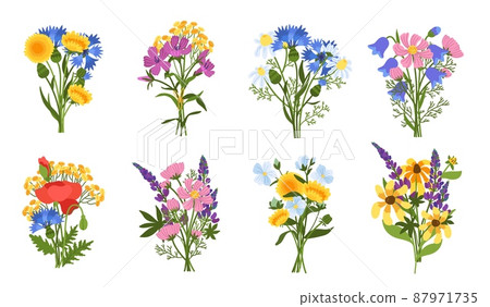 Meadow flowers bouquets. Beautiful blossom plants, cute compositions, colorful poppies, dandelions and sunflowers, spring summer botany herbal bundle for decoration, vector set 87971735