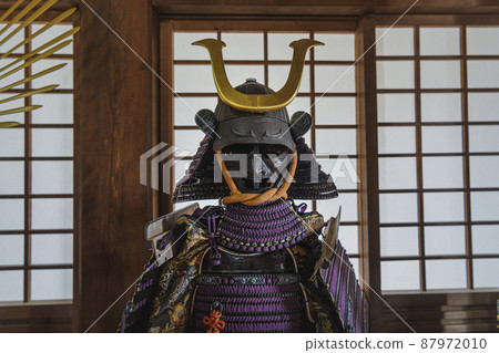 Armor　 87972010