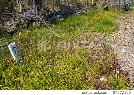 岡山縣笠岡市真鍋島 87972160