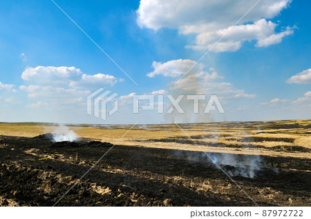 Burning stubble in the field. 87972722