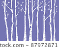 birch tree forest, vector background illustration 87972871