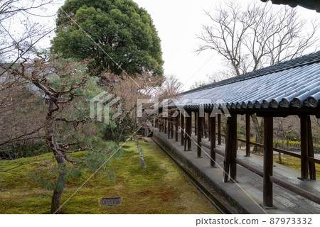 Tofukuji Temple Tsutenbashi Tofukuji Temple Tsutenbashi 87973332