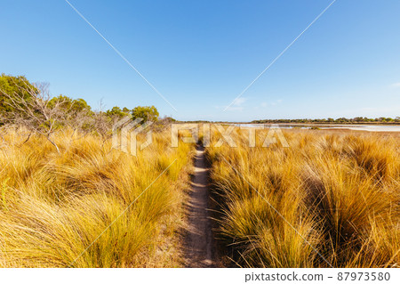 Edwards Point Wildlife Reserve in Australia Edwards Point Wildlife Reserve in Australia 87973580