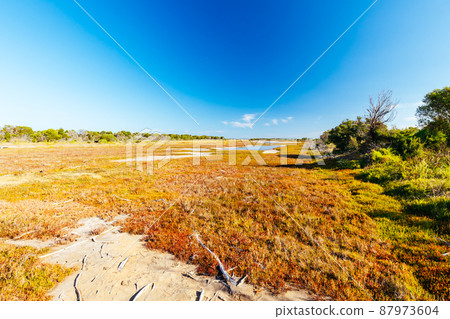 Edwards Point Wildlife Reserve in Australia Edwards Point Wildlife Reserve in Australia 87973604