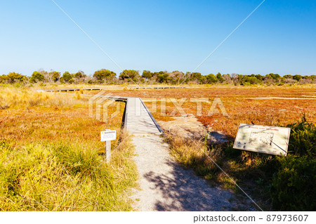 Edwards Point Wildlife Reserve in Australia Edwards Point Wildlife Reserve in Australia 87973607