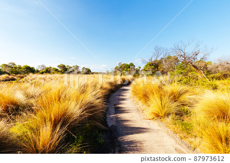 Edwards Point Wildlife Reserve in Australia Edwards Point Wildlife Reserve in Australia 87973612