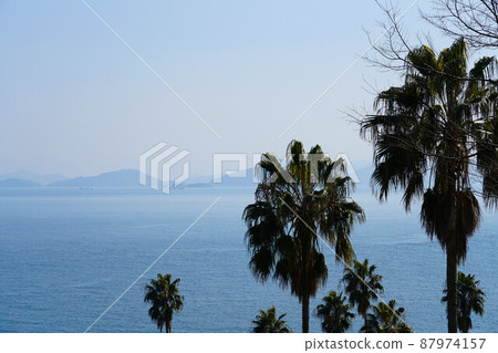Overlooking Shikoku beyond palm trees 1 Manabe Island, Kasaoka City, Okayama Prefecture 87974157