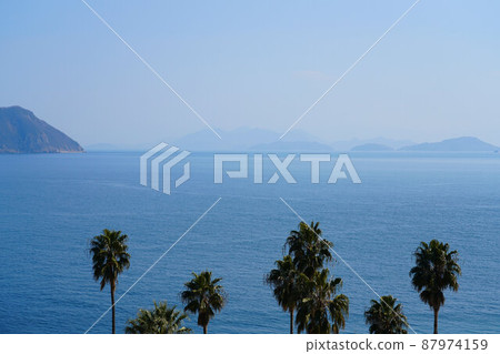 Manabe Island, Kasaoka City, Okayama Prefecture, overlooking the Shiwaku Islands and Shikoku beyond the palm trees 87974159