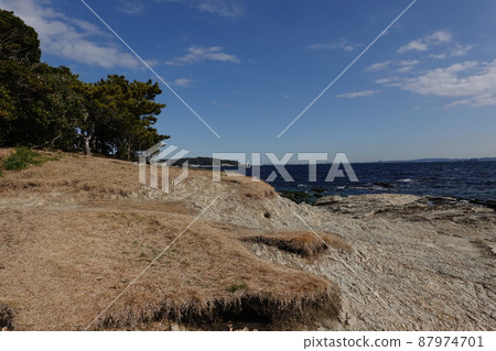 托米多海灘 托米多海灘 87974701