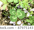 Happy four-leaf clover 87975143