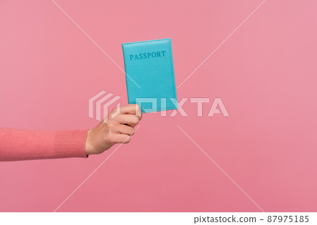 Closeup side view female hand holding blue passport, travelling abroad, visa and green card receiving, legal immigration. Indoor studio shot isolated on pink background Closeup side view female hand holding blue passport, travelling abroad, visa and green card receiving, legal immigration. Indoor studio shot isolated on pink background 87975185