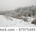 Beautiful winter forest landscape, trees covered snow 87975489