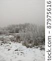 Winter landscape. 87975616