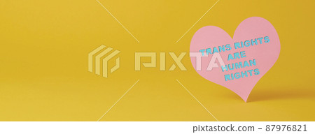 text transgender rights are human rights, banner 87976821