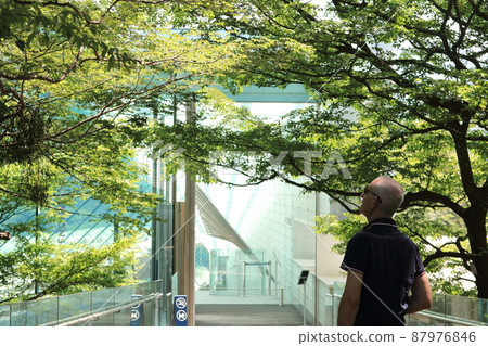 Visitors heading to the entrance of the Pola Museum of Art 87976846