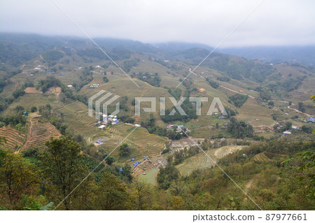 Erin Ho Village 87977661