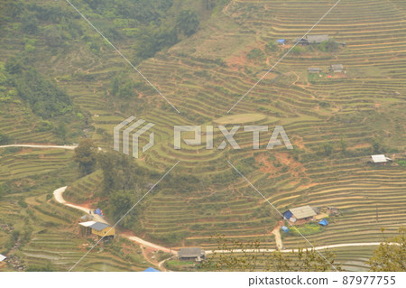 Y LINH HO Village Rice Terraces 87977755