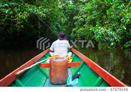 Boat ride through the deep jungle of Borneo 87979248