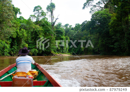 Boat ride through the deep jungle of Borneo 87979249
