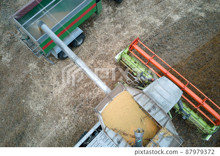 Aerial view of combine harvester unloading grain in cargo trailer working during harvesting season on large ripe wheat field. Agriculture and transportation of raw farm products concept Aerial view of combine harvester unloading grain in cargo trailer working during harvesting season on large ripe wheat field. Agriculture and transportation of raw farm products concept 87979372
