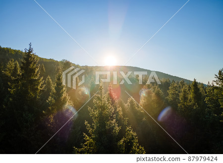 Aerial view of bright foggy morning over dark forest trees at warm summer sunrise. Beautiful scenery of wild woodland at dawn. Aerial view of bright foggy morning over dark forest trees at warm summer sunrise. Beautiful scenery of wild woodland at dawn. 87979424