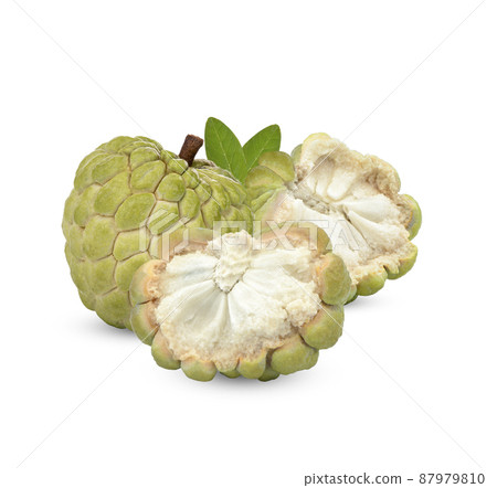 Custard apple isolated on white background Custard apple isolated on white background 87979810