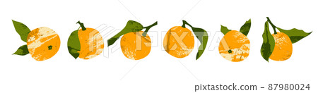 Juicy mandarin, tangerine, orange, clementine. Fresh citrus fruit, healthy organic food. Ripe fruits with leaves. Vector flat cartoon botanical illustration. Perfect for logo, stamp, brand, mark 87980024