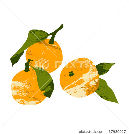 Juicy mandarin, tangerine, orange, clementine. Fresh citrus fruit, healthy organic food. Ripe fruits with leaves. Vector flat cartoon botanical illustration. Perfect for logo, stamp, brand, mark 87980027