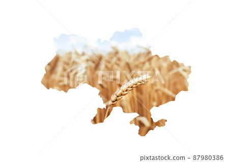 Image of a map of Ukraine on a white background. Texture of yellow wheat field with spikelet in the foreground and blue sky. Selective focus. Stop the war Image of a map of Ukraine on a white background. Texture of yellow wheat field with spikelet in the foreground and blue sky. Selective focus. Stop the war 87980386