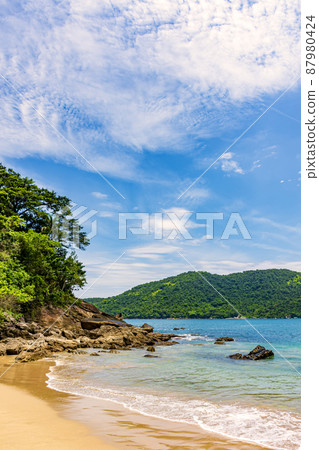 Deserted and unspoilt beach with the rainforest reaching down to the sea Deserted and unspoilt beach with the rainforest reaching down to the sea 87980424