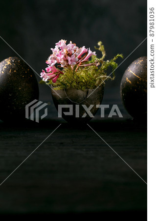 Bio colored black eggs with golden spots 87981036