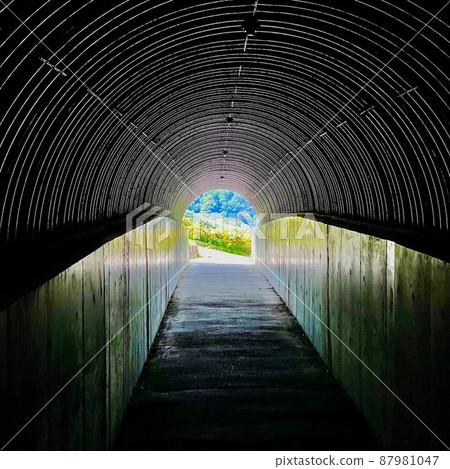 Shima Wangyu Coast Tunnel Shima Wangyu Coast Tunnel 87981047