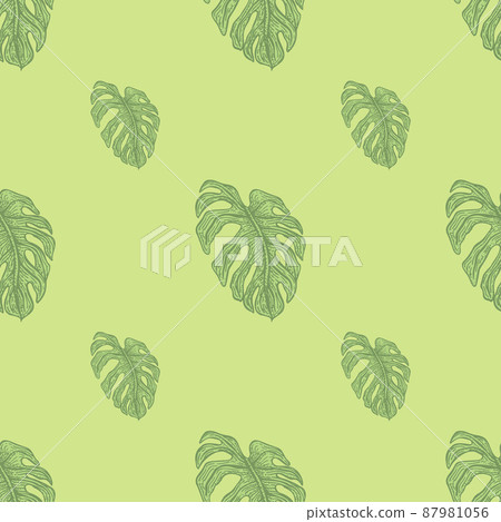 Monstera leaf seamless pattern.Vintage tropical branch in engraving style. 87981056
