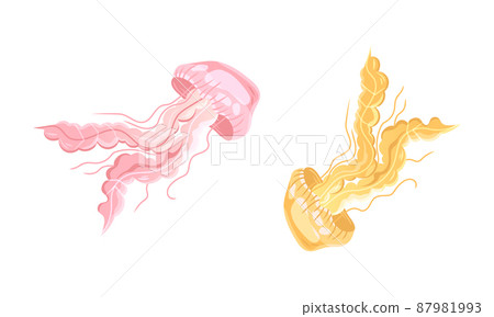 Ocean sea jellyfish set. Marine underwater creatures cartoon vector illustration 87981993