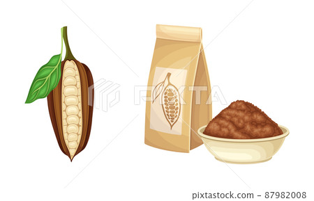 Cocoa products set. Raw cocoa bean and powder vector illustration Cocoa products set. Raw cocoa bean and powder vector illustration 87982008