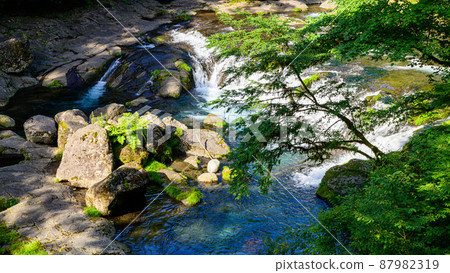 菊池峽谷“新綠/山谷風景”2021(新綠)(觀光景點)菊池峽谷 菊池峽谷“新綠/山谷風景”2021(新綠)(觀光景點)菊池峽谷 87982319