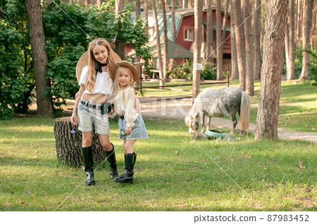 Cheerful preteen sisters hugging on lawn between pine trees on country estate on background of gray pony 87983452