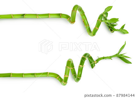 Green bamboo isolated on white background with clipping path and full depth of field. Top view. Flat lay 87984144