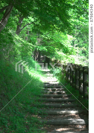 熊野古道 87984340