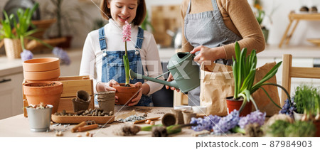 Mom and kid doing home gardening together 87984903