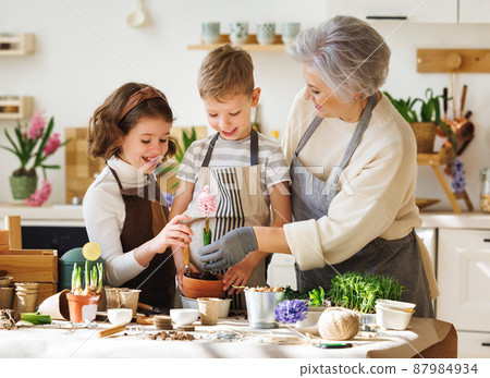 Granny and girls transplanting flowers at home 87984934