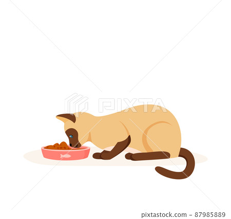 Hungry cat eating food from bowl. Siamese domestic cat having good appetite. Feeding pet with kibble or wet food. Flat style vector 87985889