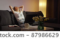Tired freelancer finishes her online work on laptop. 87986629